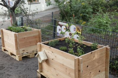 Wildbienenbuffets mit Infotafel