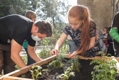 Wildbienenbuffet wird bepflanzt
