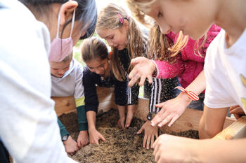 Erde und Sand werden im Hochbeet gemischt.
